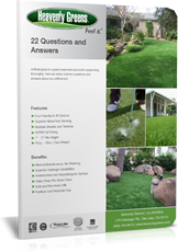 22_Questions_for_Artificial_Turf