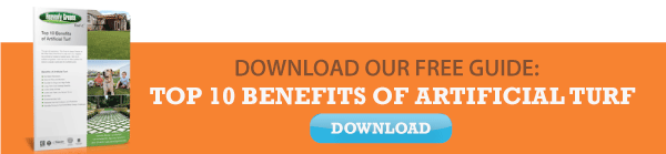 Download Our Free Guide: Top 10 Benefits of Artificial Turf